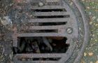 How to Unblock a Severely Blocked Drain?